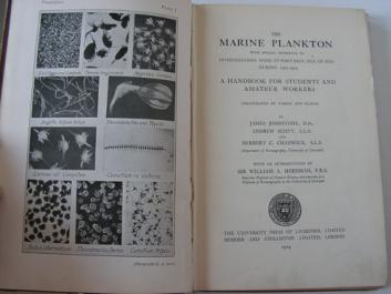 Johnstone, J.: The marine plankton with special reference to investigations made at port erin isle of man during 1907 - 1914