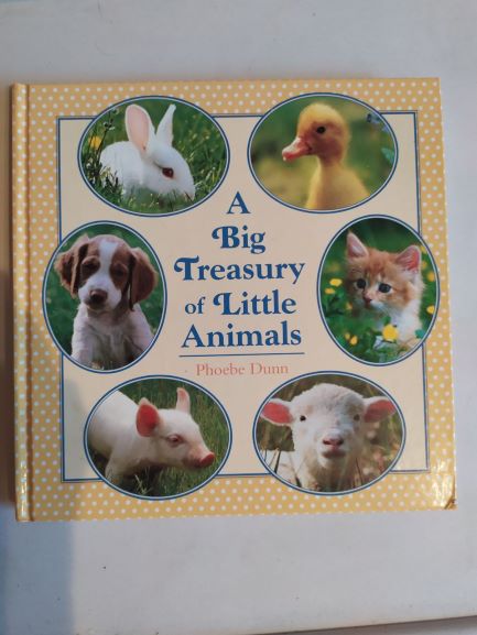 Dunn, Phoebe: Big Treasury of Little Animals