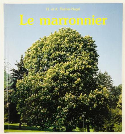 -, .; -, .: Le marronnier ( )