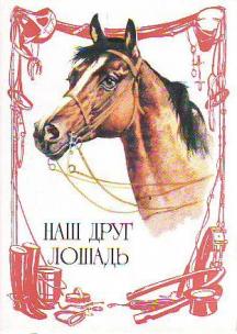 Набор открыток Лошади 7