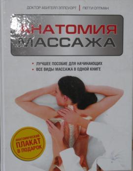   ,   :  . Massage Anatomy: A Comprehensive Guide