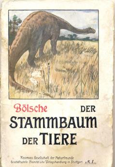 B&#246lsche, W.: Der Stammbaum der Tiere