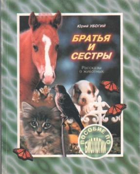 Произведение сестра. Братья и сёстры книга. Книга брат. Рассказ о сестре. Книга 