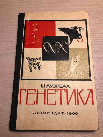 Изображение действительности в западноевропейской литературе ауэрбах э мимесис