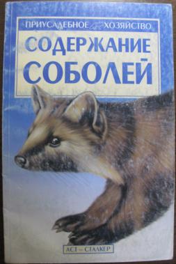 Содержание соболя. Содержание соболей. Соболь для домашнего содержания. Клуб содержание соболей. Все по содержсодержанию соболей.