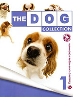  "The dog collection"