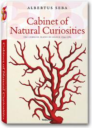 Seba, Albertus: Cabinet of Natural Curiosities