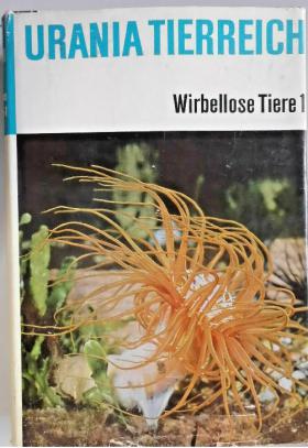 [ ]: Wirbellose Tiere 1