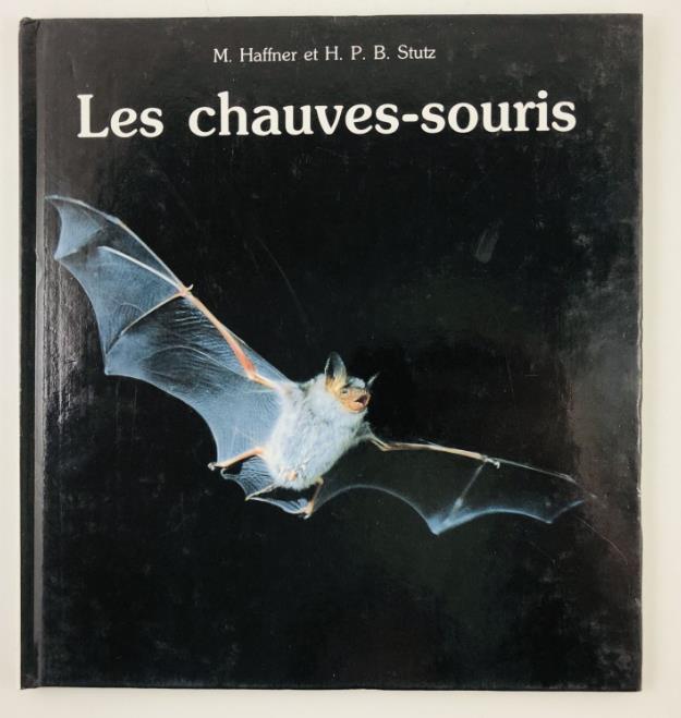 , .; , ...: Les chauves-souris ( )